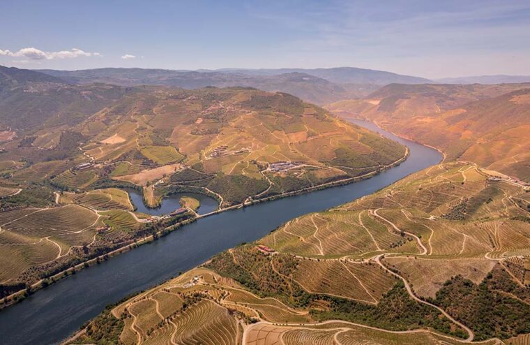 Bem-vindos à Wine Not Tours